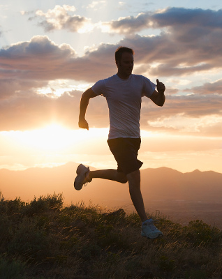 Active Lifestyle Cut